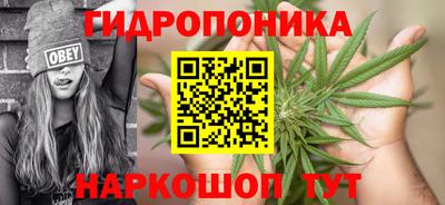 PSILOCYBIN Будённовск