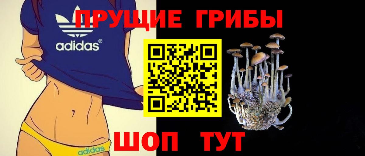 Галлюциногенные грибы Psilocybine cubensis Семилуки