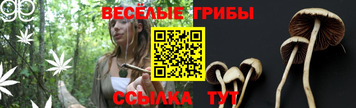 Семилуки  Псилоцибиновые грибы Psilocybine cubensis  Вход с VPN 